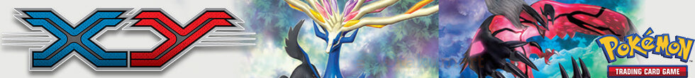 XY Singles | Pokémon TCG