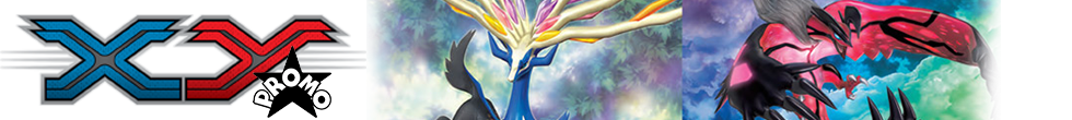 XY Black Star Promo Singles | Pokémon TCG