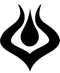 gid://shopify/MediaImage/23405801898045