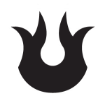 gid://shopify/MediaImage/23405823393853