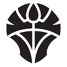 gid://shopify/MediaImage/23405938212925