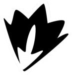 gid://shopify/MediaImage/23404218417213