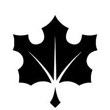 gid://shopify/MediaImage/24992349454397