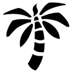 gid://shopify/MediaImage/23406139867197