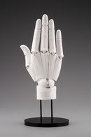 Hand Model - R White | 1/1 Artist Support Item