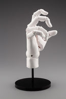 Hand Model - R White | 1/1 Artist Support Item