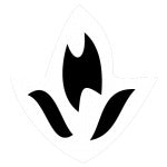 gid://shopify/MediaImage/23405511835709