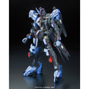 Gundam Vidar | FM 1/100