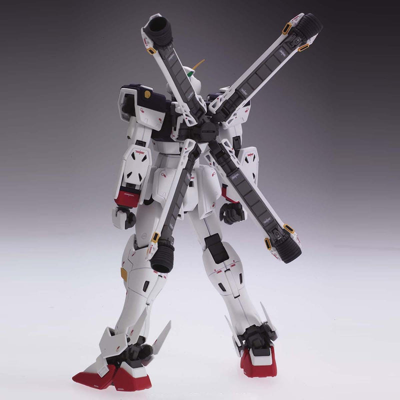 Crossbone Gundam X-1 (Ver.Ka) | MG 1/100