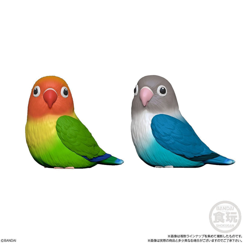 Feathered Friends | Tenori Friends 4