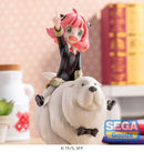 Anya Forger & Bond Forger | PM Figure