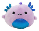 Monica the Axolotl