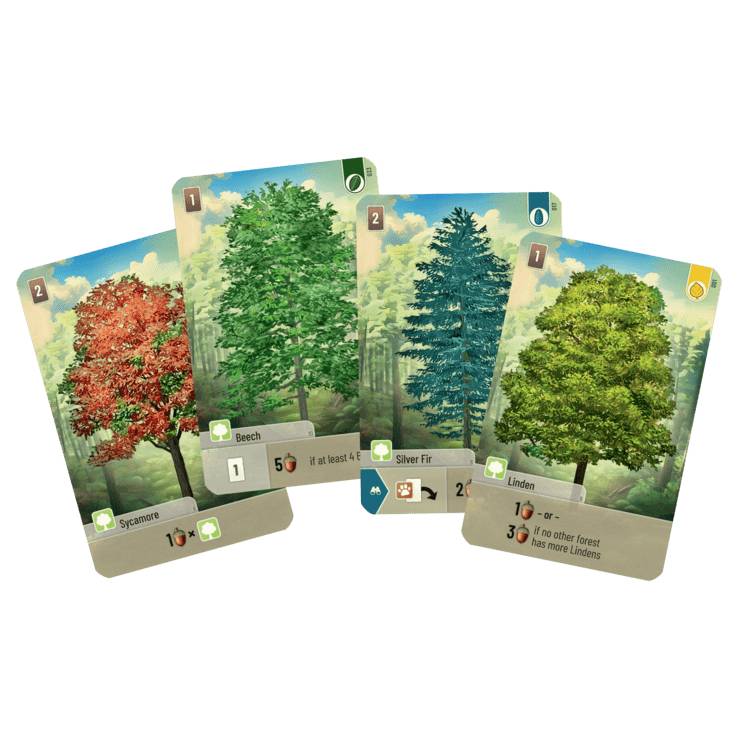 Forest Shuffle | Board Game
