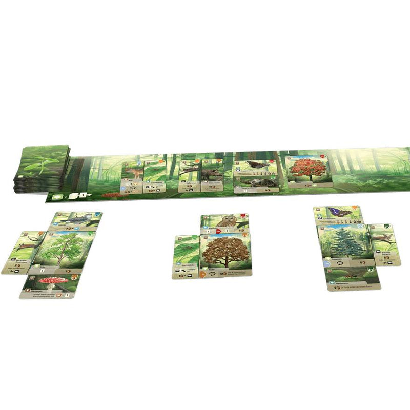 Forest Shuffle | Board Game