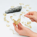 Leopard (Brown) | 3D Crystal Puzzle
