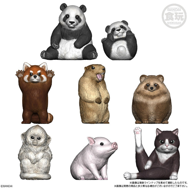 Cute & Fluffy Mammals (Display of 12) | Tenori Friends 9