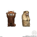 Cute & Fluffy Mammals | Tenori Friends 9