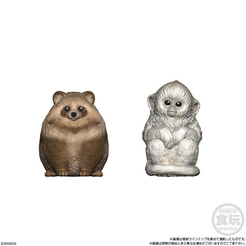 Cute & Fluffy Mammals (Display of 12) | Tenori Friends 9