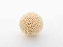 Sesame Ball Plastic Model