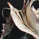 Storm Dragon Amatsu | Capcom Figure Builder Cube