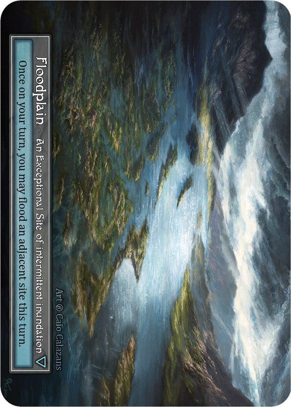 Floodplain (Foil) [Beta]