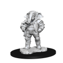 Magic The Gathering Miniatures: Quintorius, Field Historian