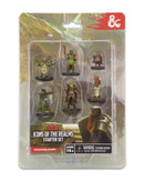D&D Icons of the Realms: Starter Set