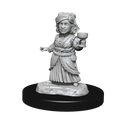 D&D Nolzur's Marvelous Miniatures: Silver Dragon Wyrmling & Female Halfling