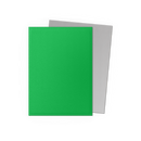 Matte Dual Standard Sleeves (Apple Green & Silver) | Dragon Shield