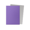 Matte Dual Standard Sleeves (Nebula & Silver) | Dragon Shield