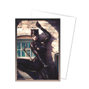 Brushed Art Standard Sleeves 'Catwoman' | Dragon Shield