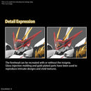 HG Amplified IMGN Ryuoumaru