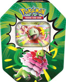 Ascended Heroes Tin (Assorted) | Pokemon TCG