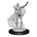 D&D Nolzur's Marvelous Miniatures: Lich & Mummy Lord