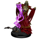 D&D Nolzur's Marvelous Miniatures: Lich & Mummy Lord