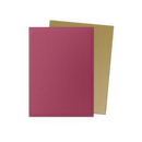 Matte Dual Standard Sleeves (Pomegranate/Gold) | Dragon Shield