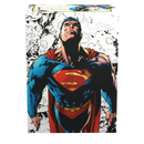 Matte Dual Art Standard Sleeves Superman Core (Full Color Variant) | Dragon Shield