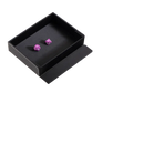 RPG Dice Companion (Iron Grey) | Dragon Shield