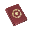 RPG Dice Companion (Blood Red) | Dragon Shield