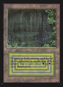 Bayou [Collectors' Edition]