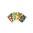 CATAN (6th Edition) The Game