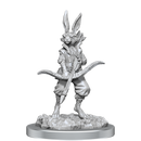 D&D Nolzur's Marvelous Miniatures: Harengon Limited Edition Paint Kit