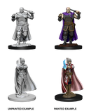 D&D Nolzur's Marvelous Miniatures: Human Ranger & Moon Elf Sorcerer