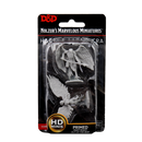 D&D Nolzur's Marvelous Miniatures: Harpy & Arakocra