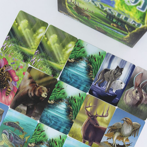 Ecosystem - A Family Card Game