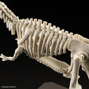 Giganotosaurus | PLANNOSAURUS Model Kit