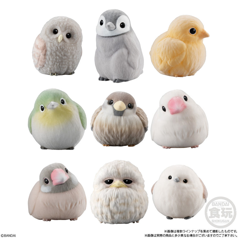 Mofumofu Tenori Friends (Display of 12)