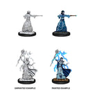 D&D Nolzur's Marvelous Miniatures: Female Elf Wizard