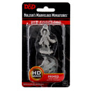 D&D Nolzur's Marvelous Miniatures: Male Elf Sorcerer