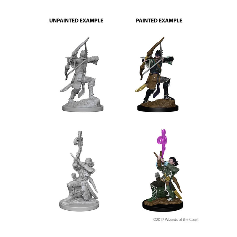 D&D Nolzur's Marvelous Miniatures: Elf Male Bard